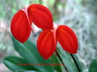 ГРЕШКА Е НА ЧУЖД ДА ДАВАШ КЛЮЧА.
 