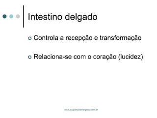 www.acupunturaenergetica.com.br 
Intestino delgado 
Controla a recepção e transformação 
Relaciona-se com o coração (lucidez)  