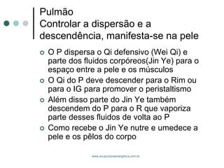 www.acupunturaenergetica.com.br 
PulmãoControlar a dispersão e a descendência, manifesta-se na pele 
O P dispersa o Qi defensivo (Wei Qi) e parte dos fluidos corpóreos(Jin Ye) para o espaço entre a pele e os músculos 
O Qi do P deve descender para o Rim ou para o IG para promover o peristaltismo 
Além disso parte do Jin Ye também descendem do P para o R que vaporiza parte desses fluidos de volta ao P 
Como recebe o Jin Ye nutre e umedece a pele e os pêlos do corpo  