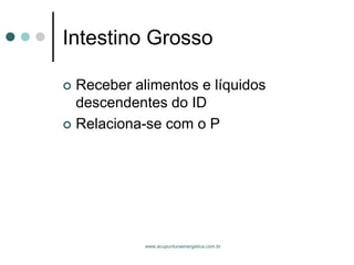 www.acupunturaenergetica.com.br 
Intestino Grosso 
Receber alimentos e líquidos descendentes do ID 
Relaciona-se com o P  
