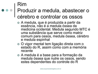 www.acupunturaenergetica.com.br 
RimProduzir a medula, abastecer o cérebro e controlar os ossos 
A medula, que é produzida a partir da essência, não é a medula óssea da medicina ocidental. Medula segundo MTC é uma substância que serve como matriz comum para ossos, medula óssea, cérebro e medula espinhal 
O vigor mental tem ligação direta com o estado do R, assim como com a memória recente 
A medula é a base para a formação da medula óssea que nutre os ossos, sendo estes dependentes do controle do R  
