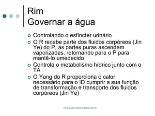 www.acupunturaenergetica.com.br 
RimGovernar a água 
Controlando o esfíncter urinário 
O R recebe parte dos fluidos corpóreos (Jin Ye) do P, as partes puras ascendem vaporizadas, retornando para o P para mantê-lo umedecido 
Controla o metabolismo hídrico junto com o TA 
O Yang do R proporciona o calor necessário para o ID cumprir a sua função de transformação e transporte dos fluidos corpóreos (Jin Ye)  