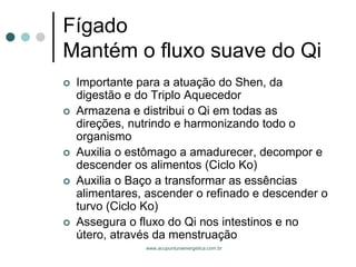 www.acupunturaenergetica.com.br 
FígadoMantém o fluxo suave do Qi 
Importante para a atuação do Shen, da digestão e do Triplo Aquecedor 
Armazena e distribui o Qi em todas as direções, nutrindo e harmonizando todo o organismo 
Auxilia o estômago a amadurecer, decompor e descender os alimentos (Ciclo Ko) 
Auxilia o Baço a transformar as essências alimentares, ascender o refinado e descender o turvo (Ciclo Ko) 
Assegura o fluxo do Qi nos intestinos e no útero, através da menstruação  
