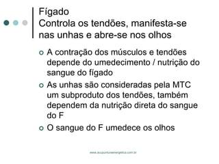 www.acupunturaenergetica.com.br 
FígadoControla os tendões, manifesta-se nas unhas e abre-se nos olhos 
A contração dos músculos e tendões depende do umedecimento / nutrição do sangue do fígado 
As unhas são consideradas pela MTC um subproduto dos tendões, também dependem da nutrição direta do sangue do F 
O sangue do F umedece os olhos  