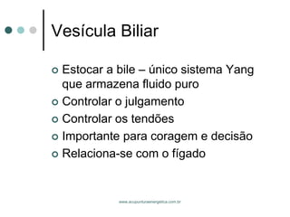 www.acupunturaenergetica.com.br 
Vesícula Biliar 
Estocar a bile –único sistema Yang que armazena fluido puro 
Controlar o julgamento 
Controlar os tendões 
Importante para coragem e decisão 
Relaciona-se com o fígado  