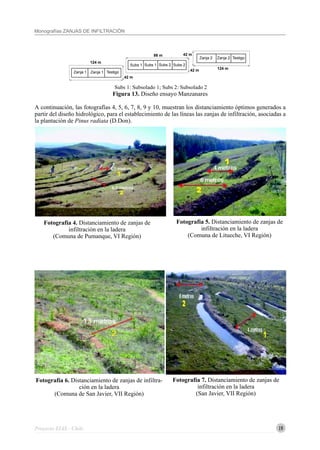 19
Monografías ZANJAS DE INFILTRACIÓN
Proyecto EIAS - Chile
Subs 1: Subsolado 1; Subs 2: Subsolado 2
Figura 13. Diseño ensayo Manzanares
A continuación, las fotografías 4, 5, 6, 7, 8, 9 y 10, muestran los distanciamiento óptimos generados a
partir del diseño hidrológico, para el establecimiento de las líneas las zanjas de infiltración, asociadas a
la plantación de Pinus radiata (D.Don).
Fotografía 4. Distanciamiento de zanjas de
infiltración en la ladera
(Comuna de Pumanque, VI Región)
Fotografía 5. Distanciamiento de zanjas de
infiltración en la ladera
(Comuna de Litueche, VI Región)
Fotografía 6. Distanciamiento de zanjas de infiltra-
ción en la ladera
(Comuna de San Javier, VII Región)
Fotografía 7. Distanciamiento de zanjas de
infiltración en la ladera
(San Javier, VII Región)
124 m
TestigoZanja 1Zanja 1
42 m
86 m
Subs 1
42 m
Subs 1 Subs 2 Subs 2
124 m
Zanja 2 Zanja 2 Testigo
42 m
 