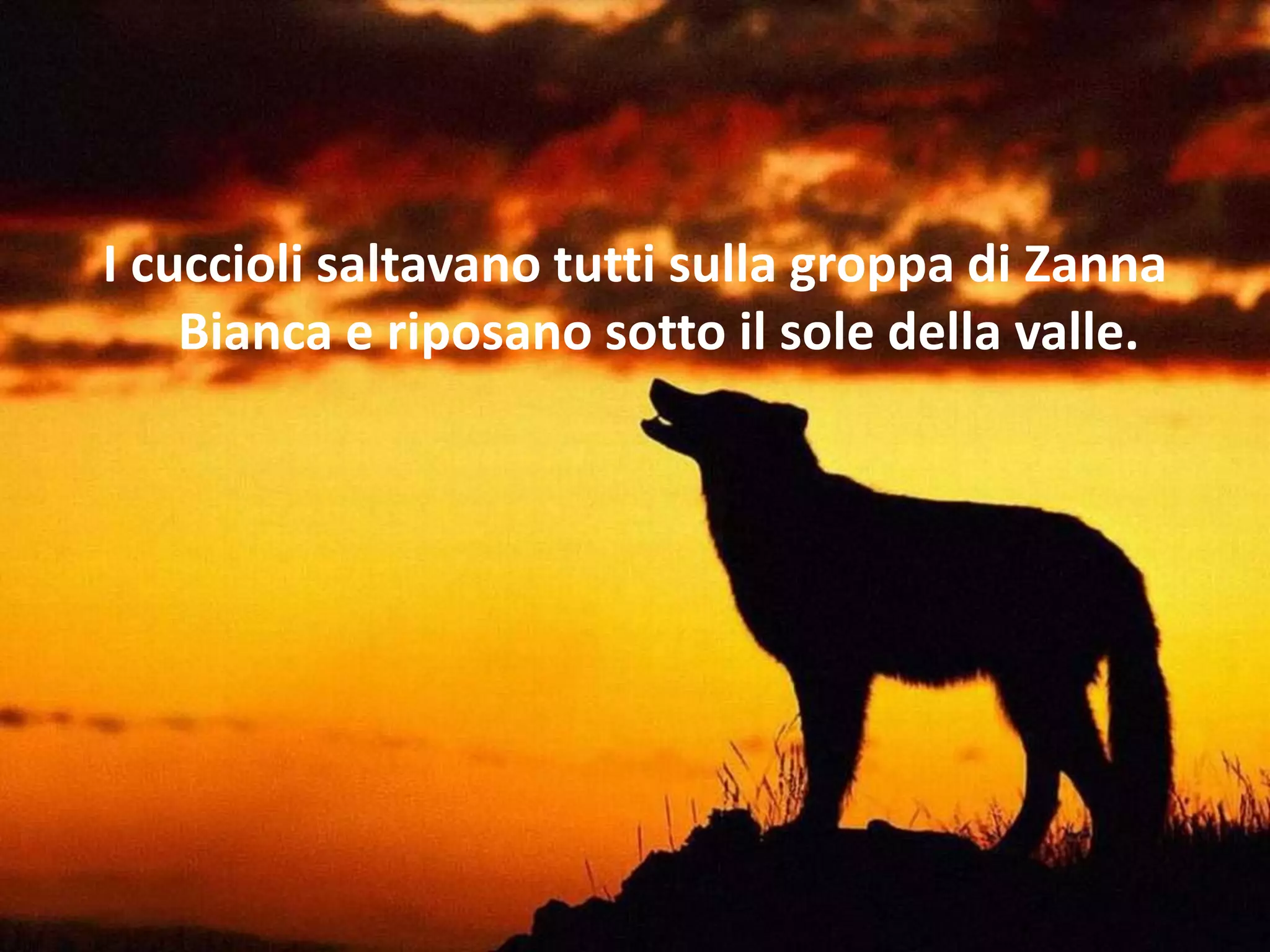 cast di zanna bianca un piccolo grande lupo