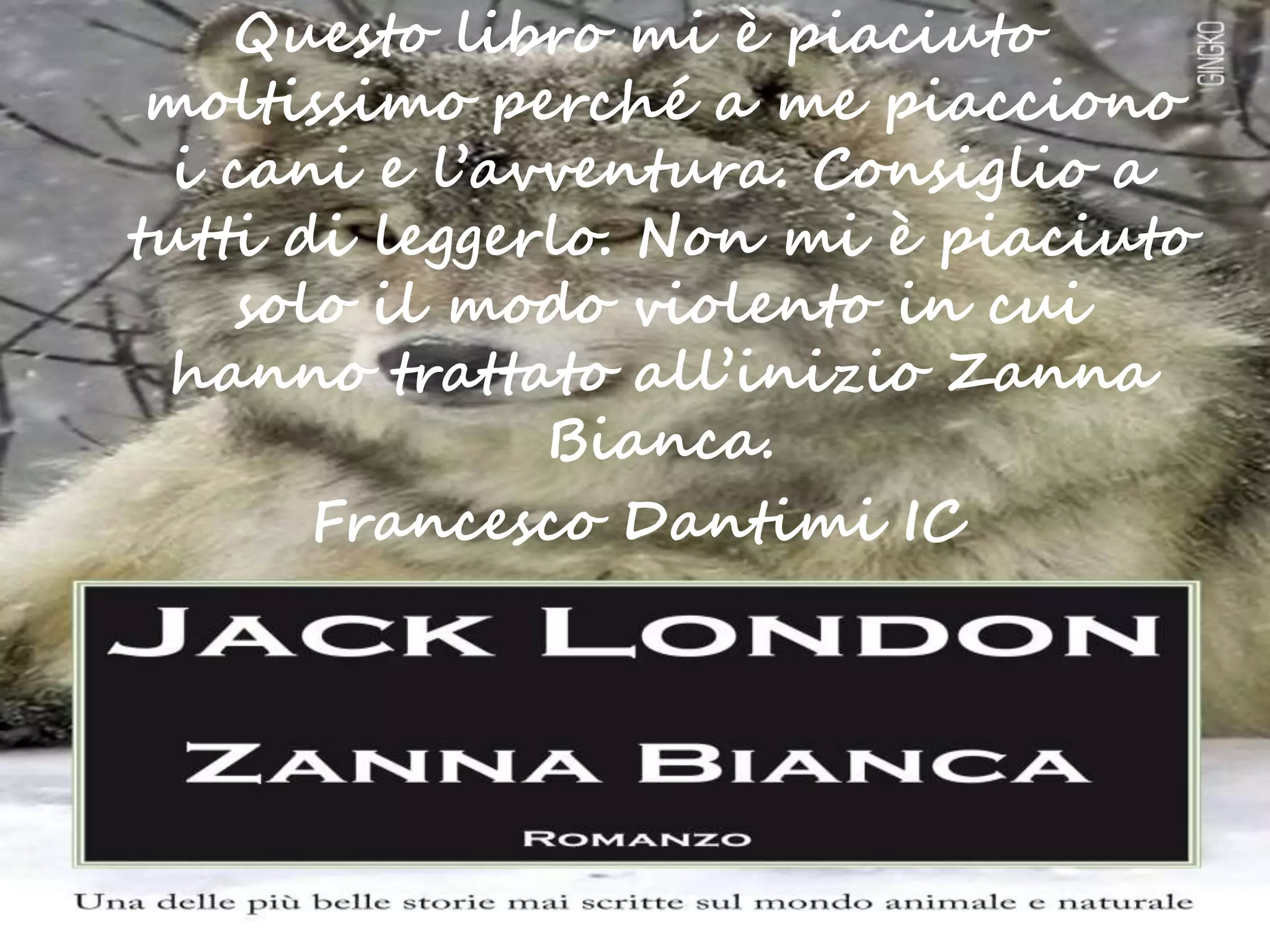 cast di zanna bianca - un piccolo grande lupo