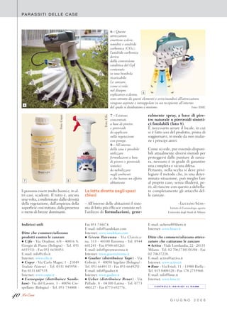 Come Eliminare Le Zanzare Dal Giardino: S.O.S Estate | Leroy Merlin - Foto 13