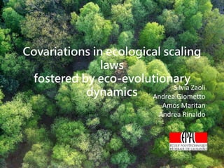 Covariations in ecological scaling
laws
fostered by eco-evolutionary
dynamics
Silvia Zaoli
Andrea Giometto
Amos Maritan
Andrea Rinaldo
 