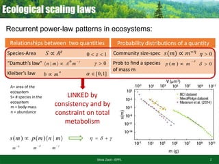 Covariations in ecological scaling laws fostered by eco-evolutionary ...