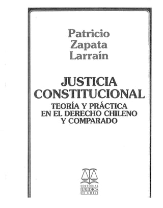 Zapata larrain, patricio_justicia_constitucional