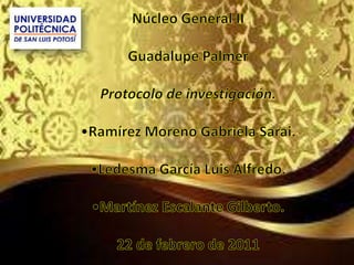 Núcleo General II Guadalupe Palmer Protocolo de investigación.  ,[object Object]