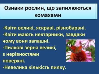 Ознаки рослин, що запилюються
комахами
-Квіти великі, яскраві, різнобарвні.
-Квіти мають нектарники, завдяки
чому вони запашні.
-Пилкові зерна великі, липкі,
з нерівностями на
поверхні.
-Невелика кількість пилку.
Ознаки рослин, що запилюються
комахами
 