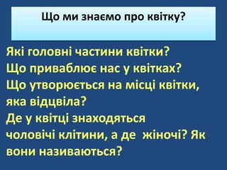 Які головні частини квітки?
Що приваблює нас у квітках?
Що утворюється на місці квітки,
яка відцвіла?
Де у квітці знаходяться
чоловічі клітини, а де жіночі? Як
вони називаються?
Що ми знаємо про квітку?
 
