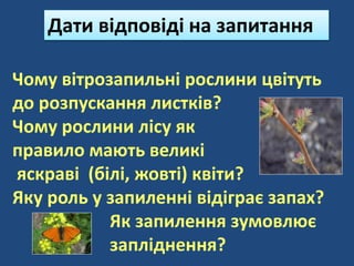 Чому вітрозапильні рослини цвітуть
до розпускання листків?
Чому рослини лісу як
правило мають великі
яскраві (білі, жовті) квіти?
Яку роль у запиленні відіграє запах?
Як запилення зумовлює
запліднення?
Дати відповіді на запитання
 
