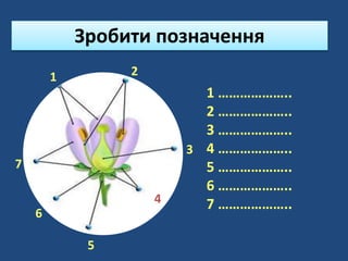 Зробити позначення
1 2
3
7
6
5
4
1 ………………..
2 ………………..
3 ………………..
4 ………………..
5 ………………..
6 ………………..
7 ………………..
 