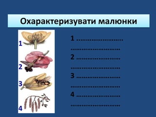 Охарактеризувати малюнки
1
2
3
4
1 ..…………………..
………………………
2 ……………………
………………………
3 ……………………
………………………
4 ……………………
………………………
 