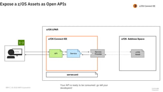 Z Api Overview PDF