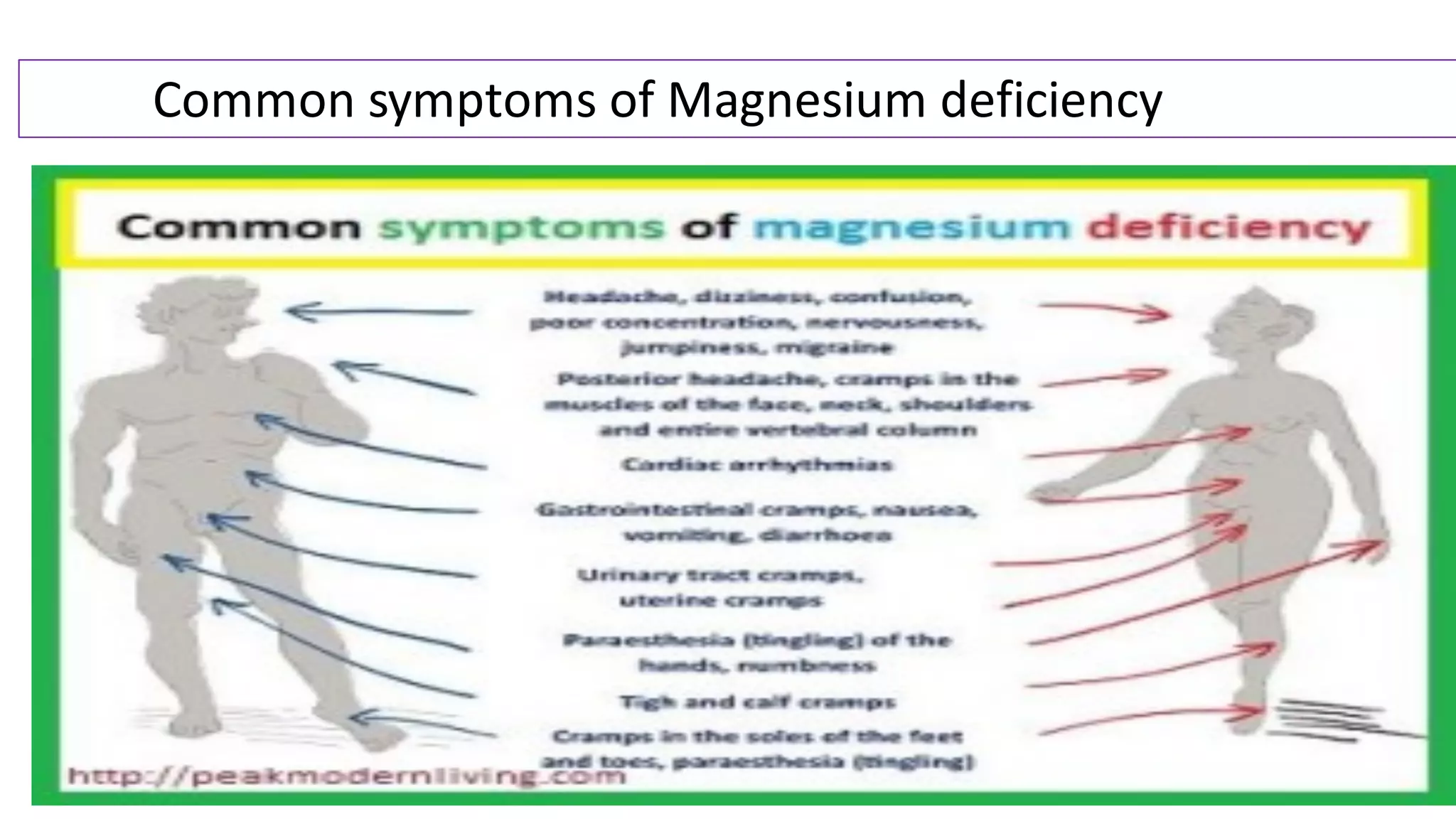 Metabolism of magnesium and its clinical significance | PDF, image size:2048x1152