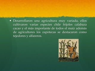  Desarrollaron una agricultura muy variada, ellos
cultivaron varias especies chile frijoles calabaza
cacao y el más importante de todos el maíz además
de agricultores los zapotecas se destacaron como
tejedores y alfareros.
 