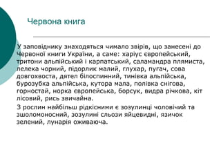 У заповіднику знаходяться чимало звірів, що занесені до
Червоної книги України, а саме: харіус європейський,
тритони альпійський і карпатський, саламандра плямиста,
лелека чорний, підорлик малий, глухар, пугач, сова
довгохвоста, дятел білоспинний, тинівка альпійська,
бурозубка альпійська, кутора мала, полівка снігова,
горностай, норка європейська, борсук, видра річкова, кіт
лісовий, рись звичайна.
З рослин найбільш рідкісними є зозулинці чоловічий та
зшоломоносний, зозулині сльози яйцевидні, язичок
зелений, лунарія оживаюча.
Червона книга
 