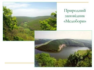 Природний
заповідник
«Медобори»
 