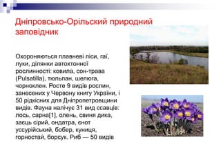 Дніпровсько-Орільский природний
заповідник
Охороняються плавневі ліси, гаї,
луки, ділянки автохтонної
рослинності: ковила, сон-трава
(Pulsatilla), тюльпан, шелюга,
чорноклен. Росте 9 видів рослин,
занесених у Червону книгу України, і
50 рідкісних для Дніпропетровщини
видів. Фауна налічує 31 вид ссавців:
лось, сарна[1], олень, свиня дика,
заєць сірий, ондатра, єнот
уссурійський, бобер, куниця,
горностай, борсук. Риб — 50 видів
 