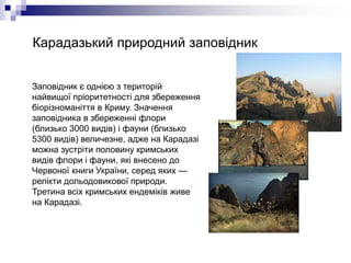 Карадазький природний заповідник
Заповідник є однією з територій
найвищої пріоритетності для збереження
біорізноманіття в Криму. Значення
заповідника в збереженні флори
(близько 3000 видів) і фауни (близько
5300 видів) величезне, адже на Карадазі
можна зустріти половину кримських
видів флори і фауни, які внесено до
Червоної книги України, серед яких —
релікти дольодовикової природи.
Третина всіх кримських ендеміків живе
на Карадазі.
 