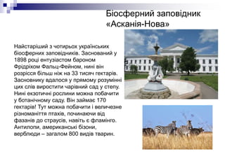 Біосферний заповідник
«Асканія-Нова»
Найстаріший з чотирьох українських
біосферних заповідників. Заснований у
1898 році ентузіастом бароном
Фрідріхом Фальц-Фейном, нині він
розрісся більш ніж на 33 тисяч гектарів.
Засновнику вдалося у прямому розумінні
цих слів виростити чарівний сад у степу.
Нині екзотичні рослини можна побачити
у ботанічному саду. Він займає 170
гектарів! Тут можна побачити і величезне
різноманіття птахів, починаючи від
фазанів до страусів, навіть є фламінго.
Антилопи, американські бізони,
верблюди – загалом 800 видів тварин.
 