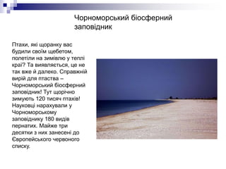 Чорноморський біосферний
заповідник
Птахи, які щоранку вас
будили своїм щебетом,
полетіли на зимівлю у теплі
краї? Та виявляється, це не
так вже й далеко. Справжній
вирій для птаства –
Чорноморський біосферний
заповідник! Тут щорічно
зимують 120 тисяч птахів!
Науковці нарахували у
Чорноморському
заповіднику 180 видів
пернатих. Майже три
десятки з них занесені до
Європейського червоного
списку.
 