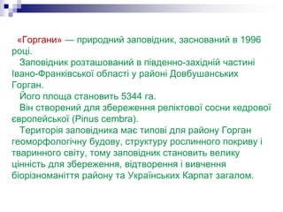 «Горгани» — природний заповідник, заснований в 1996
році.
Заповідник розташований в південно-західній частині
Івано-Франківської області у районі Довбушанських
Горган.
Його площа становить 5344 га.
Він створений для збереження реліктової сосни кедрової
європейської (Pinus cembra).
Територія заповідника має типові для району Горган
геоморфологічну будову, структуру рослинного покриву і
тваринного світу, тому заповідник становить велику
цінність для збереження, відтворення і вивчення
біорізноманіття району та Українських Карпат загалом.
 