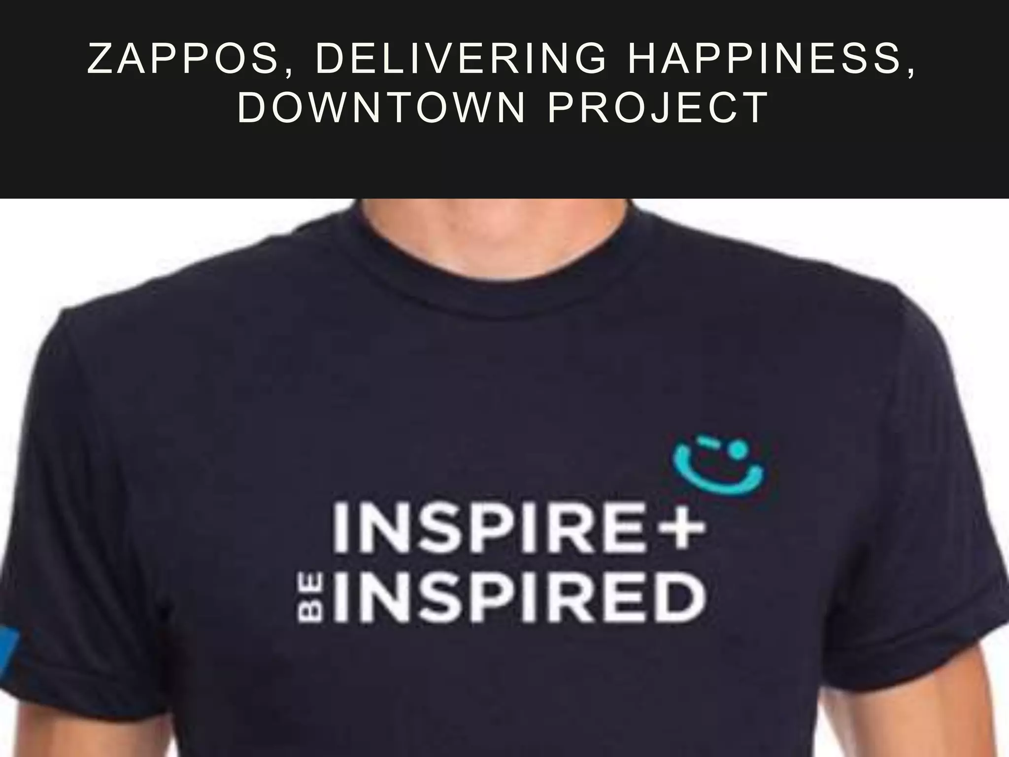 ZAPPOS, DELIVERING HAPPINESS,
DOWNTOWN PROJECT
 