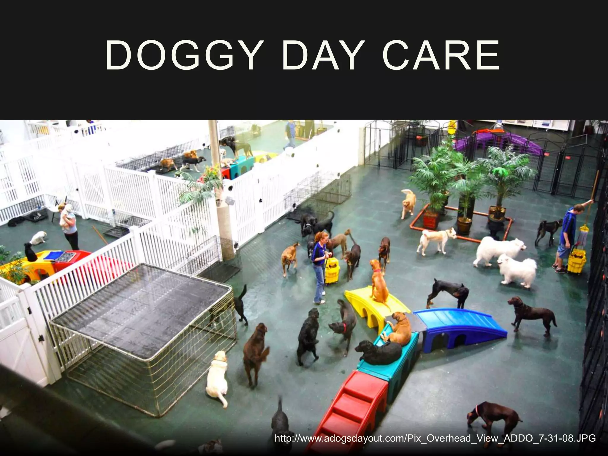 DOGGY DAY CARE
http://www.adogsdayout.com/Pix_Overhead_View_ADDO_7-31-08.JPG
 