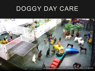 DOGGY DAY CARE
http://www.adogsdayout.com/Pix_Overhead_View_ADDO_7-31-08.JPG
 