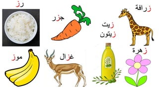 ‫ز‬‫رافة‬
‫غ‬‫ز‬‫ال‬‫مو‬‫ز‬
‫ز‬‫هرة‬
‫ز‬‫يت‬
‫ز‬‫يتون‬
‫ر‬‫ز‬
‫ج‬‫ز‬‫ر‬
 