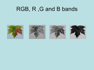 RGB, R ,G and B bands
 