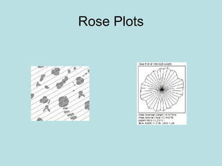 Rose Plots
 