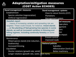 Adaptation/mitigation measures
(COST Action ECHOES)
Stand management measures
Establishment
Species selection (regeneration)
Artificial regeneration
Exotic species
Natural regeneration
Less seedlings in plantations
Increased regeneration efforts
Fast growing species
Mixed species stands (risk reduction,
biodiversity)
Maintenance
Mixed species stands (risk reduction,
biodiversity)
Increased thinning
Liquidation
Shorter rotations (growth rate, wind)
Longer rotations (growth rate, water, stem form)
Stand management systems
Close to nature forestry (CCF)
Plantations
Management system
Landscape/forest level measures
Ecological landscape plans
Landscape management
Fire landscape plans
Wildfire prevention
Reduced ungulate impact
Erosion control
Improved roads
National policies
Subsidies
Afforestration (land use)
Better machinery
Swedish report
“… means of increasing variation and spreading risk are
targeted. These could include, for instance, mixed stands
…, or the planting of fast-growing tree species in some
stands, as well as increased variation in thinning and
felling regimes, including continuity forestry on some
areas….”
 