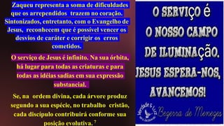 Zaqueu representa a soma de dificuldades
que os arrependidos trazem no coração.
Sintonizados, entretanto, com o Evangelho de
Jesus, reconhecem que é possível vencer os
desvios de caráter e corrigir os erros
cometidos.
O serviço de Jesus é infinito. Na sua órbita,
há lugar para todas as criaturas e para
todas as idéias sadias em sua expressão
substancial.
Se, na ordem divina, cada árvore produz
segundo a sua espécie, no trabalho cristão,
cada discípulo contribuirá conforme sua
posição evolutiva. 7
 