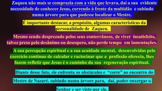Zaqueu não mais se comprazia com a vida que levava, daí a sua evidente
necessidade de conhecer Jesus, correndo à frente da multidão e subindo
numa árvore para que pudesse localizar o Mestre.
É importante destacar, a propósito, algumas características da
personalidade de Zaqueu.
Mesmo sendo desprezado pelos seus conterrâneos, de viver insatisfeito,
talvez preso pelo desânimo ou desespero, não perde tempo em lamentações.
A sua percepção espiritual e a sua acuidade mental, desenvolvidas pelo
exercício contínuo de calcular e raciocinar que a profissão oferecia, lhes
fazem refletir que Jesus é o caminho da sua regeneração espiritual.
Diante desse fato, ele enfrenta os obstáculos e “corre” ao encontro do
Mestre de Nazaré, subindo numa árvore para, daí, poder enxergar o
Senhor e ser visto por ele.
 