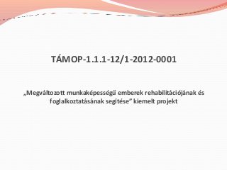 TÁMOP-1.1.1-12/1-2012-0001
„Megváltozott munkaképességű emberek rehabilitációjának és
foglalkoztatásának segítése” kiemelt projekt
 