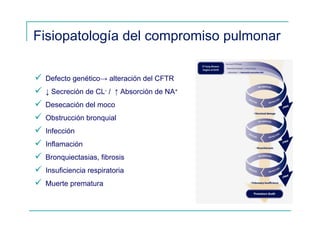 Fisiopatología del compromiso pulmonar
Defecto genético→ alteración del CFTR
↓ Secreción de CL- / ↑ Absorción de NA+
Desecación del moco
Obstrucción bronquial
Infección
Inflamación
Bronquiectasias, fibrosis
Insuficiencia respiratoria
Muerte prematura
 