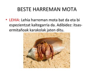 BESTE HARREMAN MOTA
• LEHIA: Lehia harreman mota bat da eta bi
espezientzat kaltegarria da. Adibidez: itsas-
ermitañoak karakolak jaten ditu.
 
