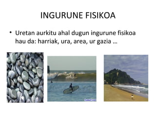 INGURUNE FISIKOA
• Uretan aurkitu ahal dugun ingurune fisikoa
hau da: harriak, ura, area, ur gazia …
 