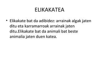 ELIKAKATEA
• Elikakate bat da adibidez: arrainak algak jaten
ditu eta karramarroak arrainak jaten
ditu.Elikakate bat da animali bat beste
animalia jaten duen katea.
 