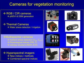 Cameras for vegetation monitoring
 RGB / CIR cameras
 pNDVI & DSM generation

 Thermal Cameras
 Water stress detection / irrigation

Multispectral cameras
 Nutrient stress detection (Cab, Cx+c)
 Physiological indices (PRI, F)
 Canopy structure (NDVI, EVI)

 Hyperspectral imagers
 New indices / methods
 Combined spectral indices

 