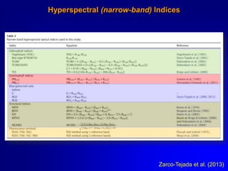 Hyperspectral (narrow-band) Indices

Zarco-Tejada et al. (2013)

 