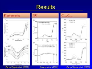Results
Fluorescence

Zarco-Tejada et al. (2013)

Ca+b Cx+c

PRI

Suarez et al. (2009)

Zarco-Tejada et al. (2005)

 