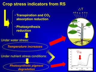 Crop stress indicators from RS
T
• Transpiration and CO2
absorption reduction
• Photosynthesis
reduction

Under water stress:
Temperature increases


Under nutrient stress conditions:
Photosynthetic pigment
degradation

 